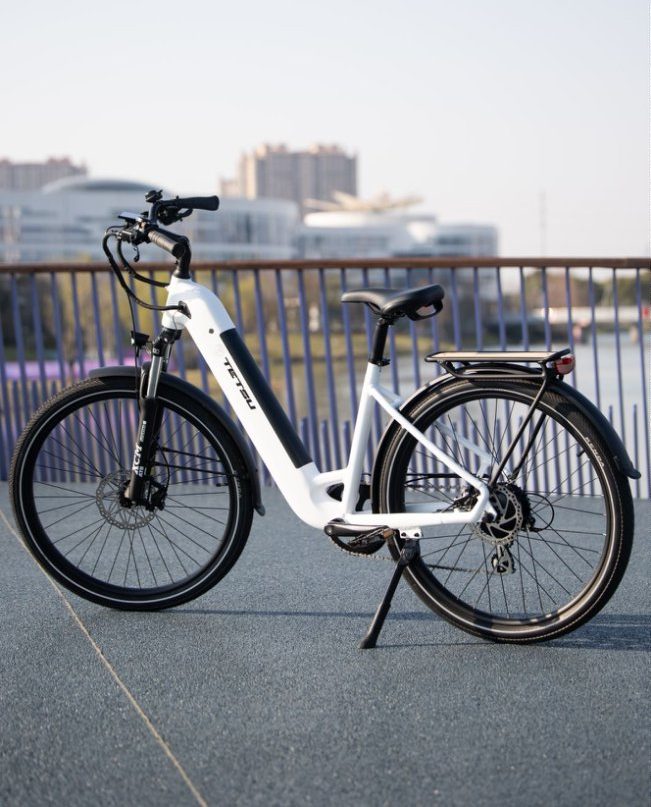 The Canada E-bike Market